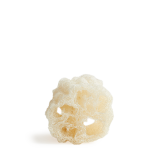 Cucurbita (Luffa) - sponge Cucurbita (Luffa) - sponge